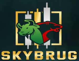 skyburg logo